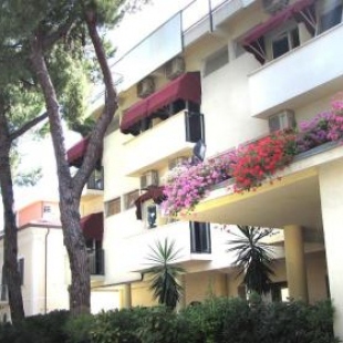 Фотография гостиницы Hotel New Primula