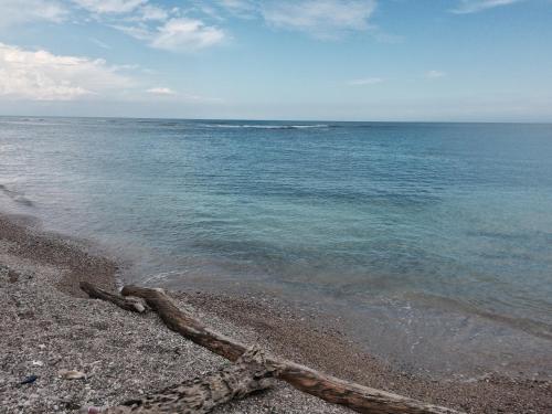 Фотография мини отеля Hotel Al Mare