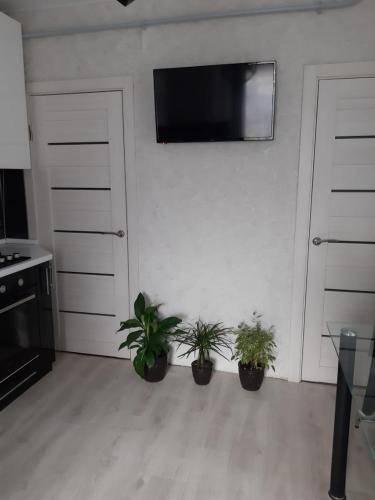 Фотографии гостевого дома
Липовый цвет