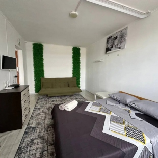 Фотография квартиры Квартира Однокомнатная на Геологоразведчиков 4