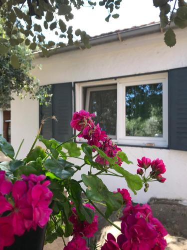 Фотографии гостевого дома
Cabaña en la naturaleza