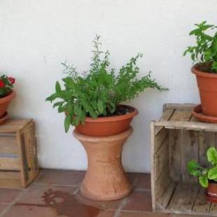 Фотографии гостевого дома
Ca Angiola