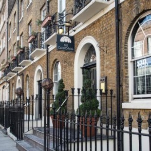 Фотография гостиницы The California