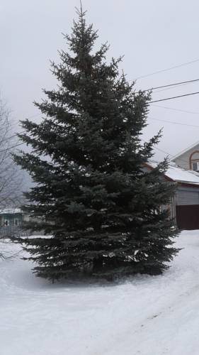 Фотография гостевого дома Бариновых