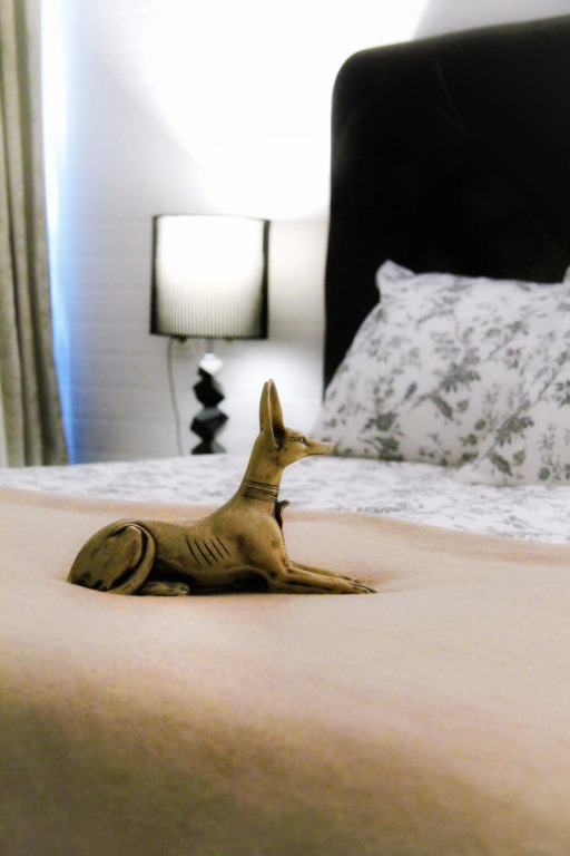 Фотография квартиры Апартаменты Квартира Рядом с Аэропортом Внуково