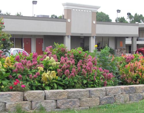 Фотография мотеля Red Carpet Inn - Augusta