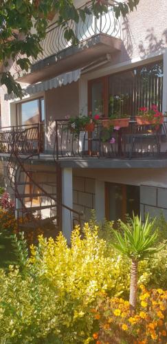 Фотографии гостевого дома 
            Kyurkchievi Guest House