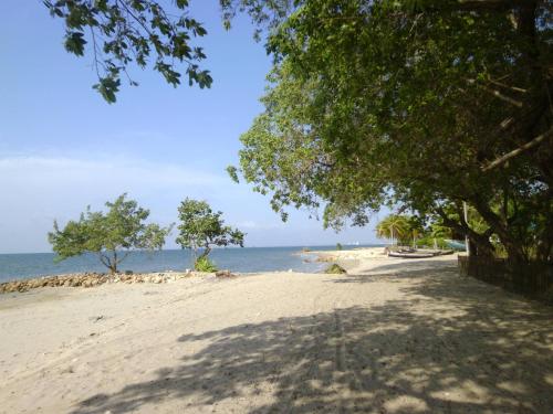 Фотография гостевого дома Hostal Santa Clara