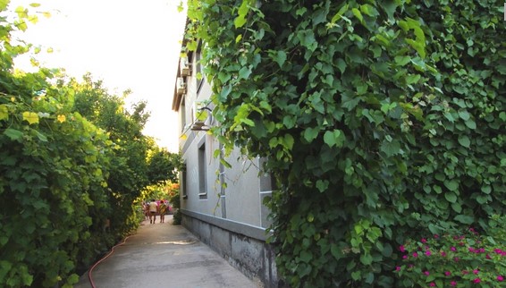 Фотография пансионата Лазурный берег