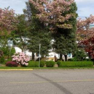 Фотографии мотеля
Slumber Lodge