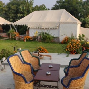 Фотография базы отдыха Jungle Book Ranthambore