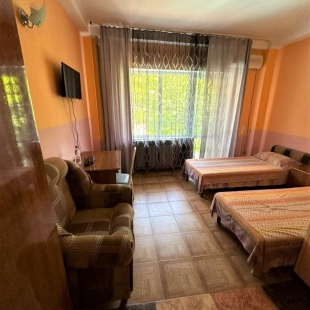 Фотография номера гостиницы Пальма