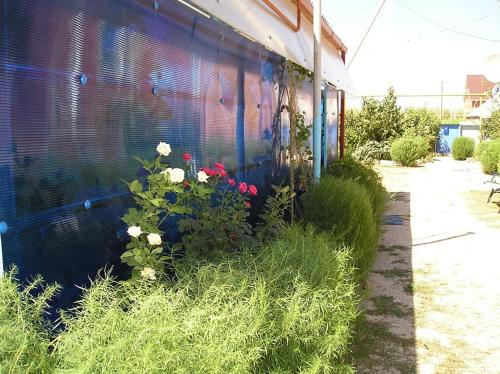 Фотографии гостиницы
У пляжа