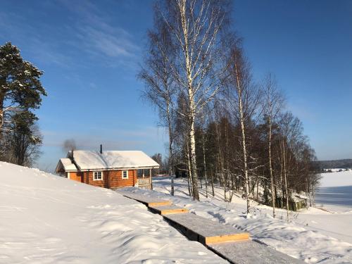 Фотография гостевого дома Forrest Lodge