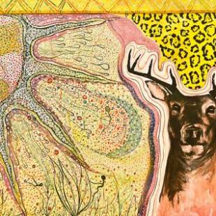 Фотографии гостевого дома 
            Casa del Pintor Chetumal