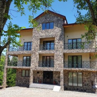 Фотография гостиницы Mtis Broli-Borjomi