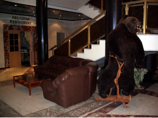 Фотографии гостиницы 
            Ермак