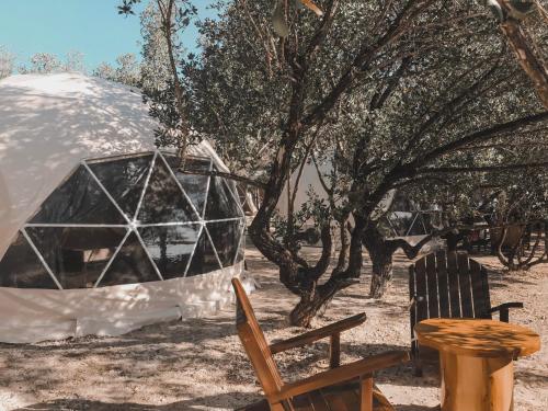 Фотография гостиницы Aquamare Beach Camp Resort