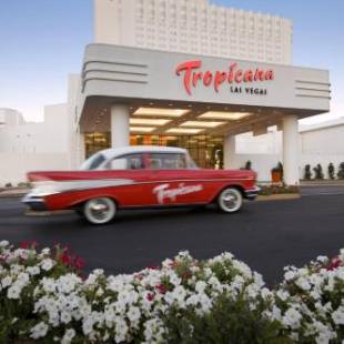 Фотографии гостиницы 
            Tropicana Las Vegas a DoubleTree by Hilton Hotel and Resort
