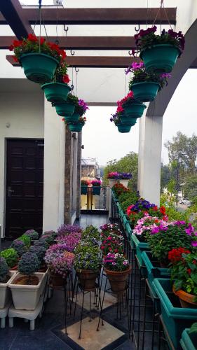 Фотография мини отеля joerose villa