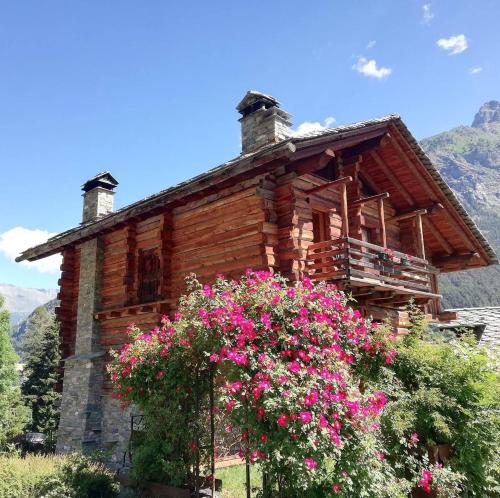 Фотографии гостевого дома 
            Au Rascard