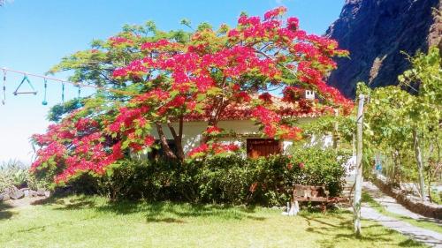 Фотография гостевого дома Faja dos Padres