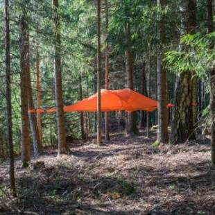 Фотографии базы отдыха
Baumzelt am Waldesrand