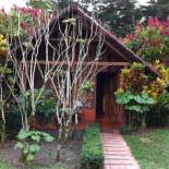 Фотография гостиницы Hotel Villas Vista Arenal