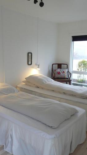 Фотография базы отдыха Nordic Park