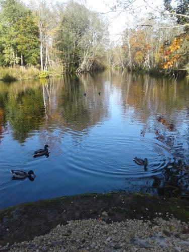 Фотографии мотеля
Оазис