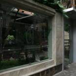 Фотография гостиницы Hotel Carolina Montecarlo