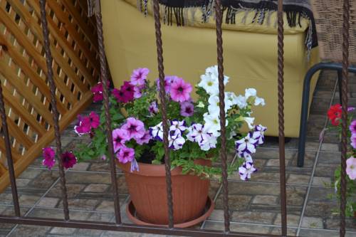 Фотографии гостевого дома
SunRise