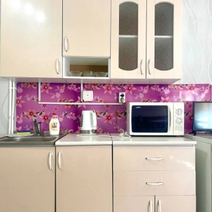 Фотография квартиры Апартаменты с кухней-гостиной и отдельной спальней (3 односпальные кровати, можно сдвинуть в двуспальные)