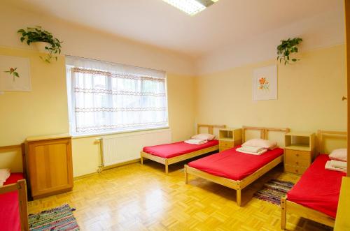 Фотография хостела 4beds GreenSLO free Parking