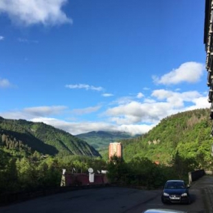 Фотография гостиницы Hotel Tbilisi In Borjomi