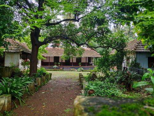 Фотография гостевого дома Meadows