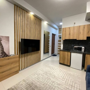 Фотография квартиры Апартаменты Tretyakow Apart Begovaya