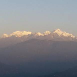 Фотографии мини отеля 
            VAMOOSE CHAMLING