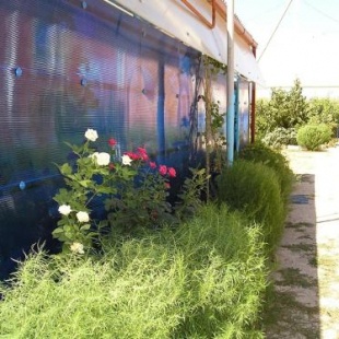 Фотография гостиницы У пляжа