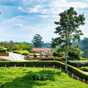 Фотографии гостиницы
Hotel Estrella Del Monte