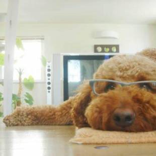 Фотографии гостевого дома
art.paradigm