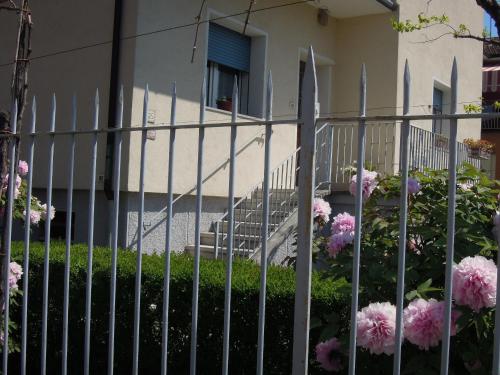 Фотография мини отеля B&B Carlotta