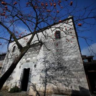 Фотографии мини отеля
Pig's Boutique Hotel Bishan