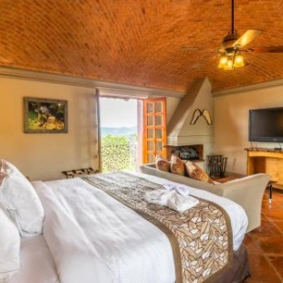 Фотография гостиницы Hotel Camino de Vinos