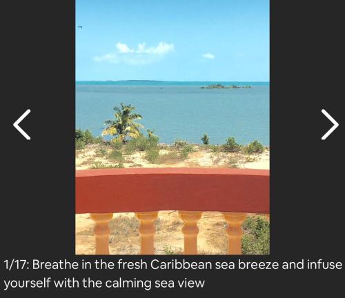 Фотография апарт отеля Alexander Penthouse Spectacular Sea Views Regal Room