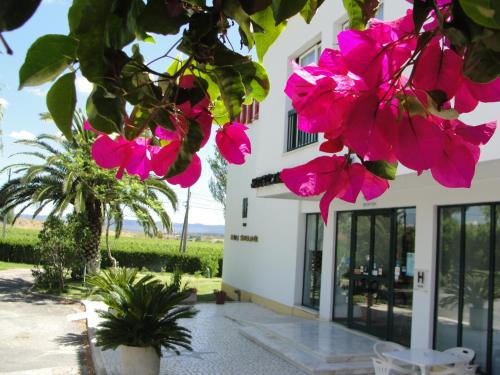 Фотография гостиницы Hotel Imperador