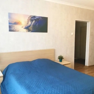 Фотография квартиры Apartment Hanaka on Bibliotechnaya 17