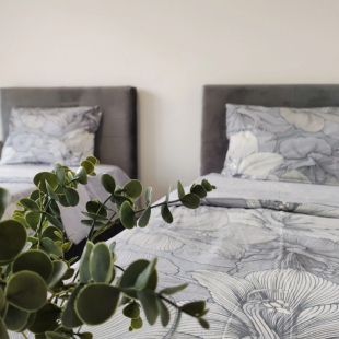 Фотография квартиры Апартаменты Большие Около Метро