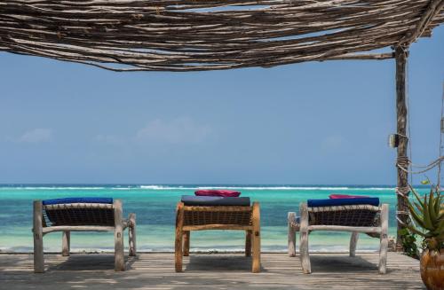 Фотография гостевого дома Maji Lodge