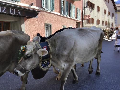 Фотография гостиницы Hotel Piz Ela Bergün